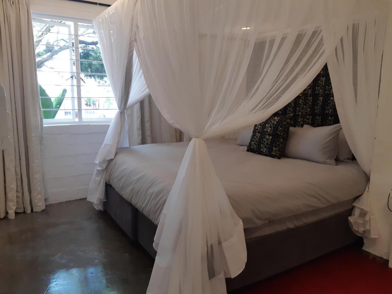 Hornbill House Self Catering Accommodation Hermanus Dış mekan fotoğraf